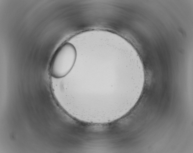 X0000115830950200911131124