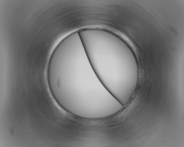 X0000115830951200911131124
