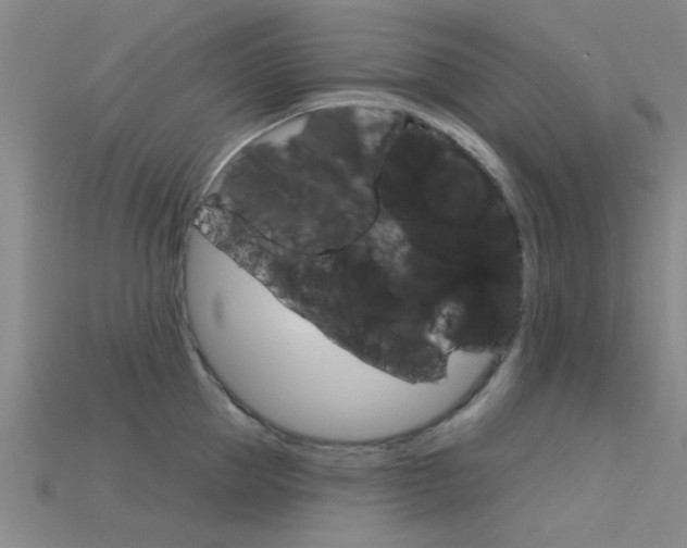 X0000115830953200911131124