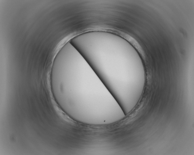 X0000115830954200911131124