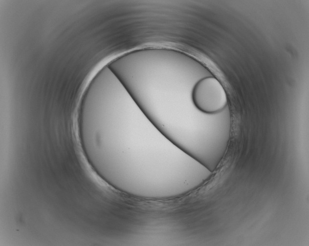 X0000115830955200911131124