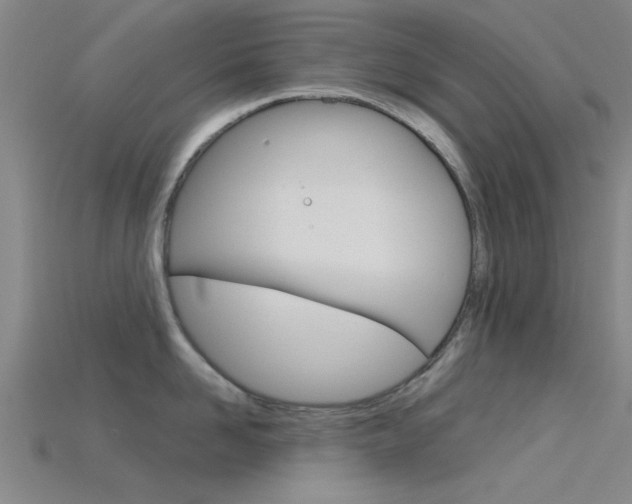 X0000115830958200911131124
