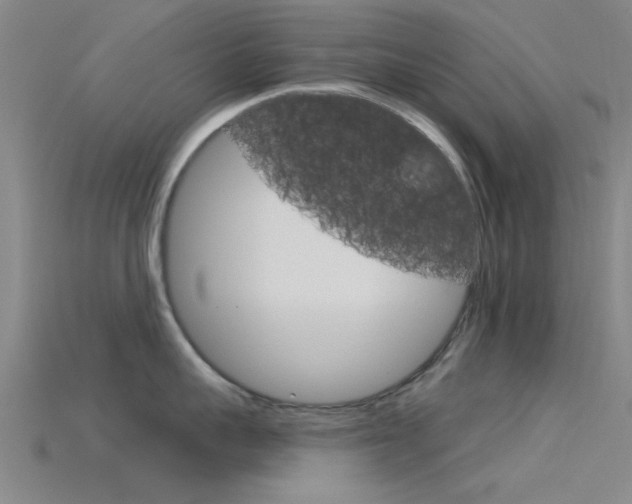 X0000115830959200911131124