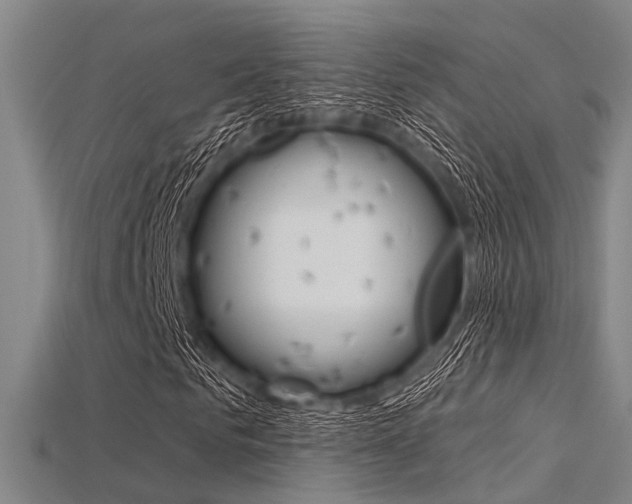 X0000115830961200911131124