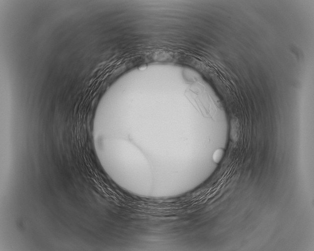 X0000115830962200911131124