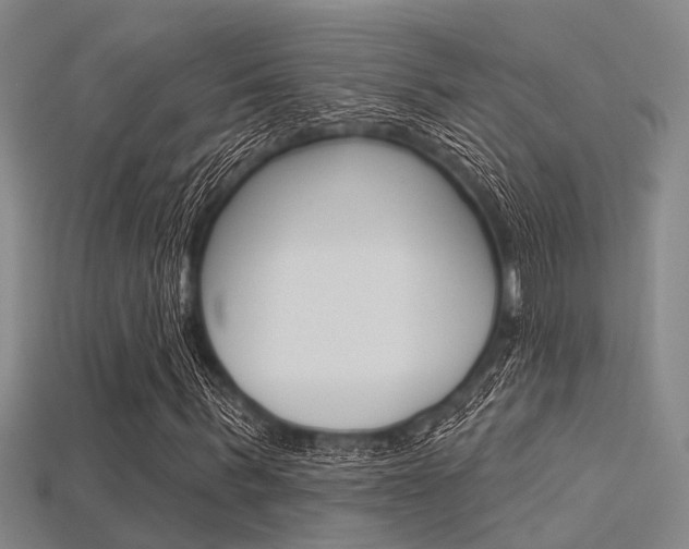 X0000115830963200911131124