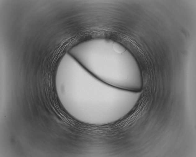 X0000115830964200911131124