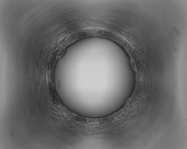 X0000115830965200911131124