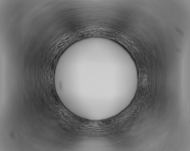 X0000115830966200911131124