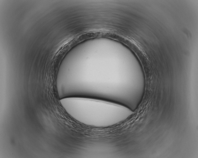 X0000115830967200911131124