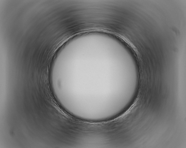X0000115830969200911131124