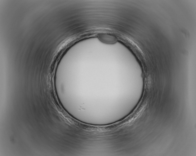 X0000115830970200911131124