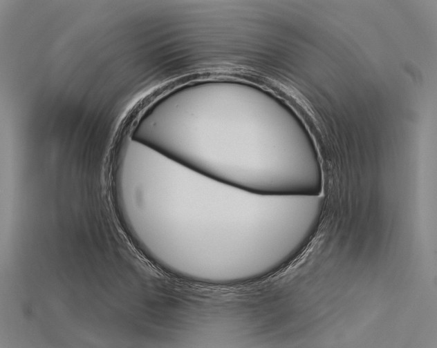 X0000115830971200911131124