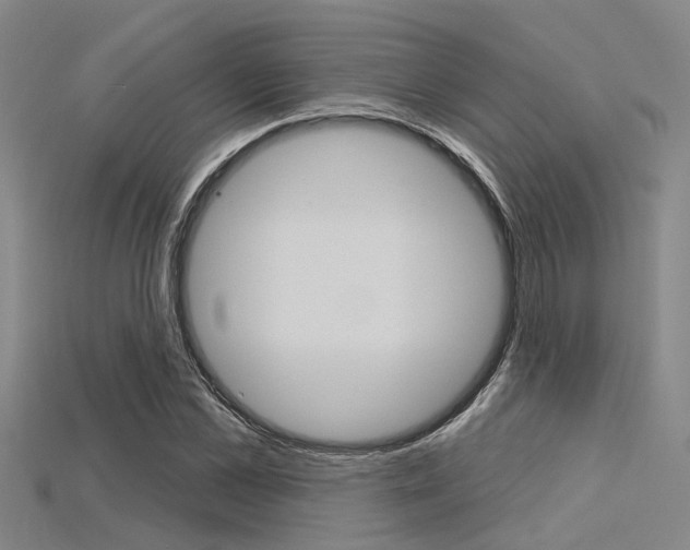 X0000115830973200911131124