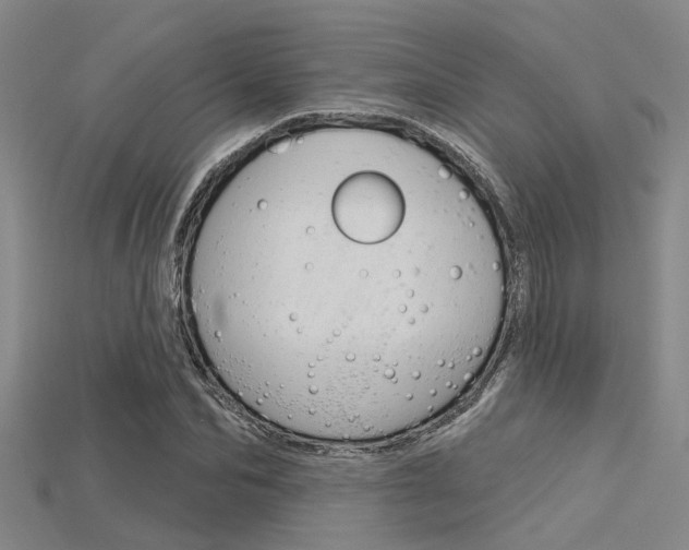 X0000115830974200911131124