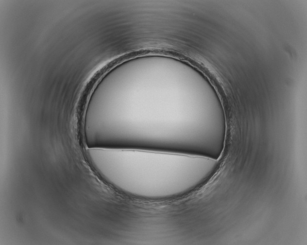 X0000115830975200911131124