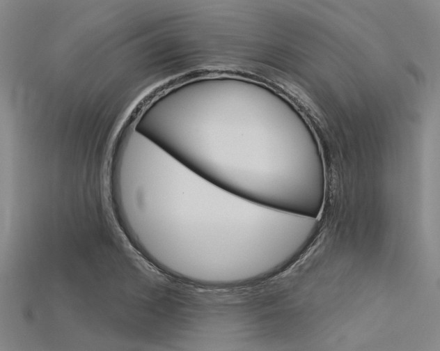 X0000115830976200911131124