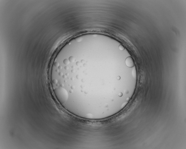 X0000115830978200911131124