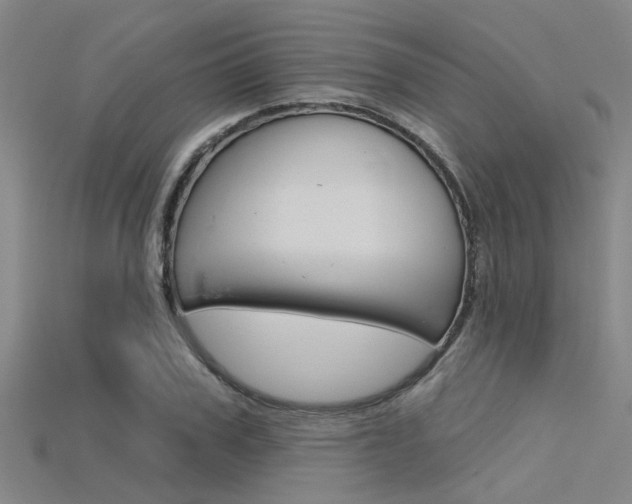 X0000115830979200911131124