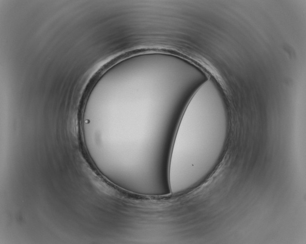 X0000115830980200911131123