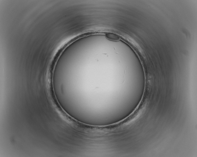 X0000115830981200911131123