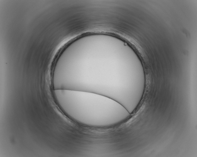 X0000115830982200911131123