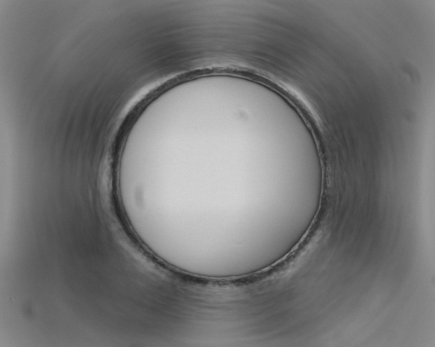 X0000115830983200911131123