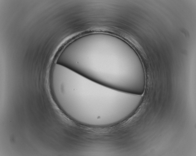 X0000115830984200911131123