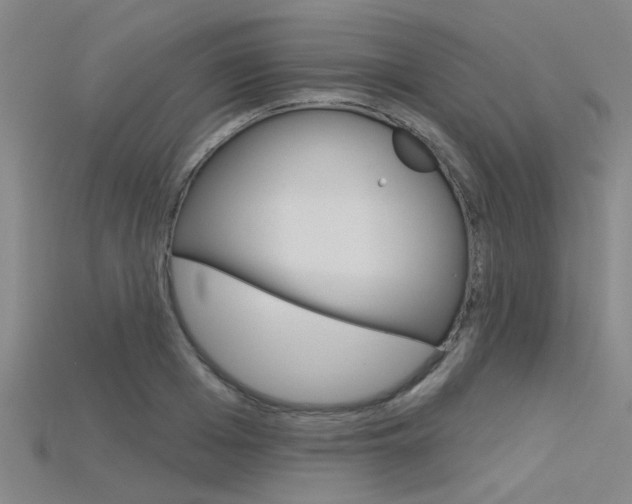 X0000115830985200911131123