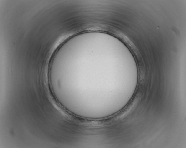 X0000115830986200911131123