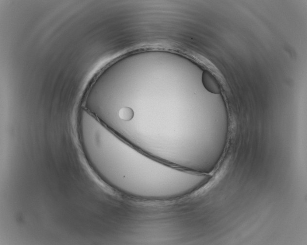 X0000115830989200911131123