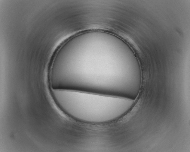 X0000115830991200911131123