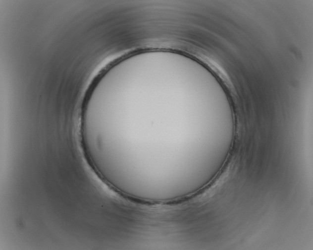 X0000115830992200911131123