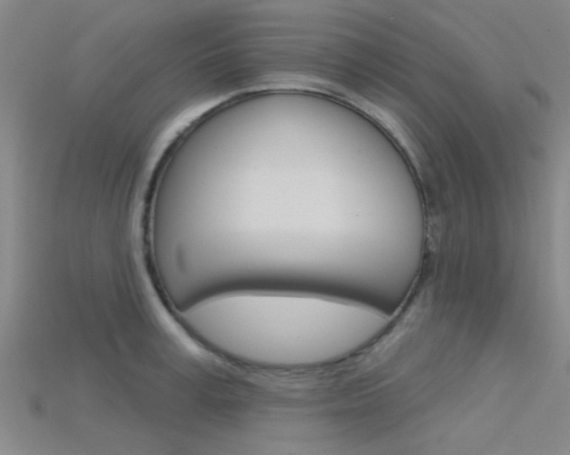 X0000115830995200911131123