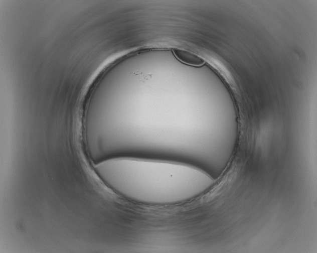 X0000115831000200911131123