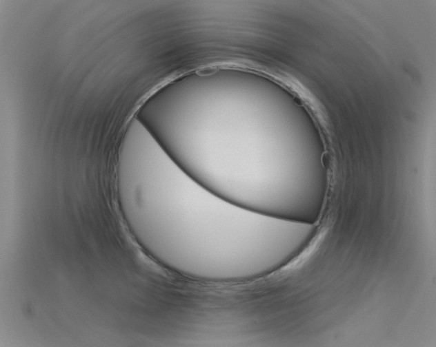 X0000115831001200911131123