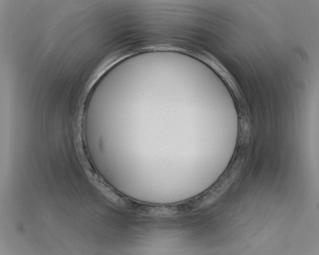 X0000115831002200911131123