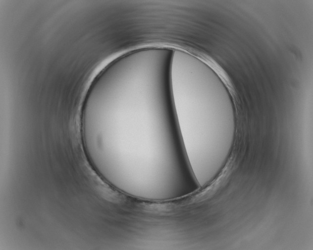 X0000115831004200911131123