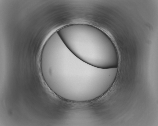 X0000115831008200911131123