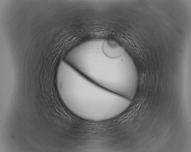 X0000115831009200911131123