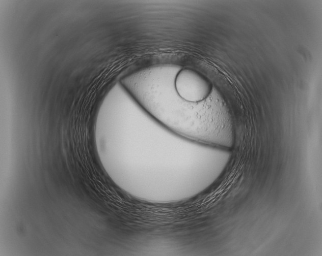 X0000115831010200911131123