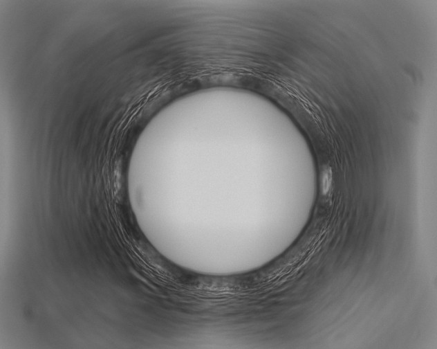 X0000115831011200911131123