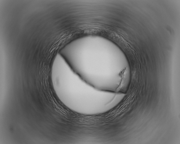 X0000115831012200911131123