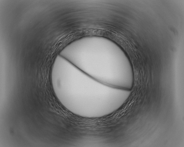 X0000115831013200911131123