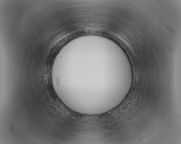 X0000115831015200911131123