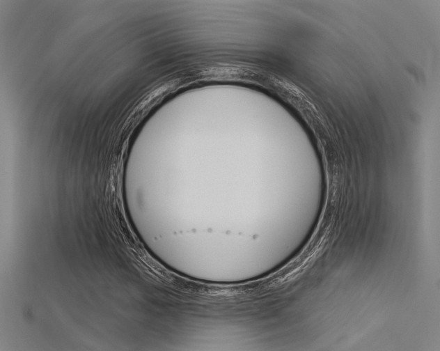 X0000115831017200911131123
