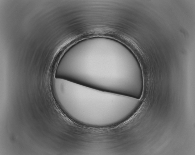 X0000115831018200911131123