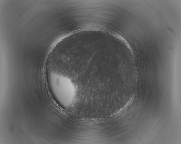 X0000115831019200911131123