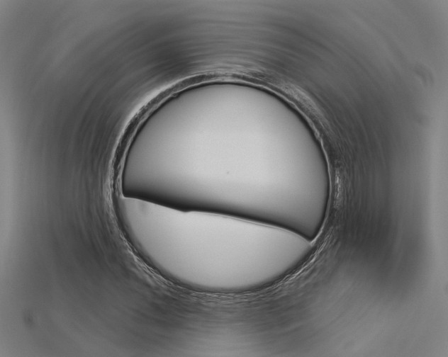 X0000115831020200911131123