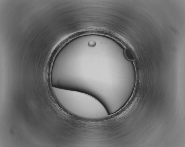 X0000115831021200911131123